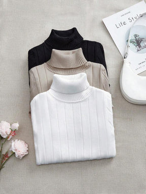 3 Peças Suéter Casual Feminino Clássico